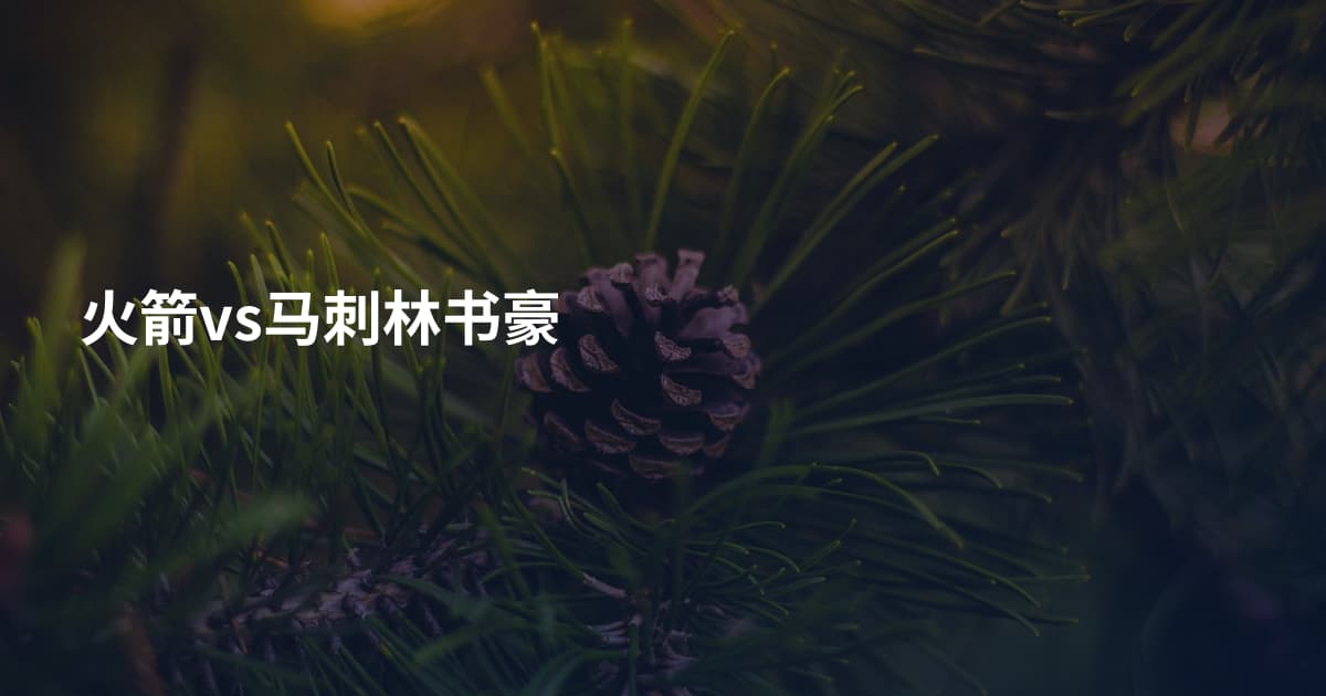 火箭vs马刺林书豪