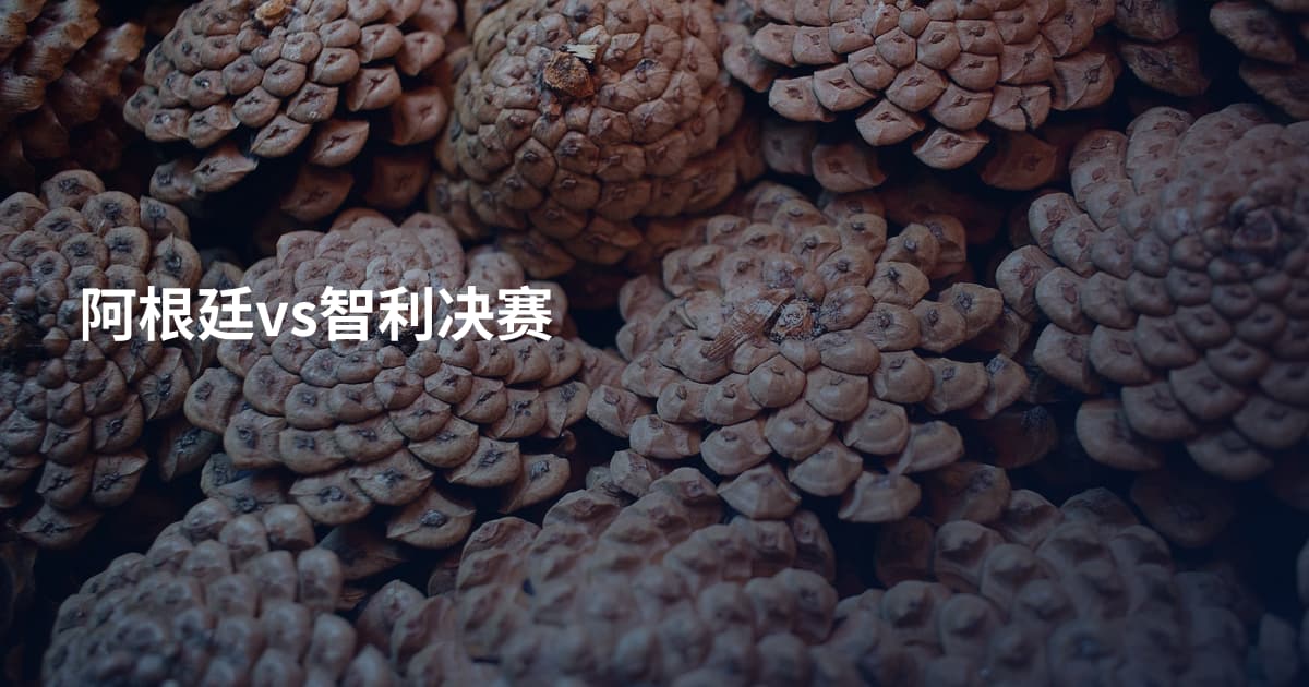 阿根廷vs智利决赛