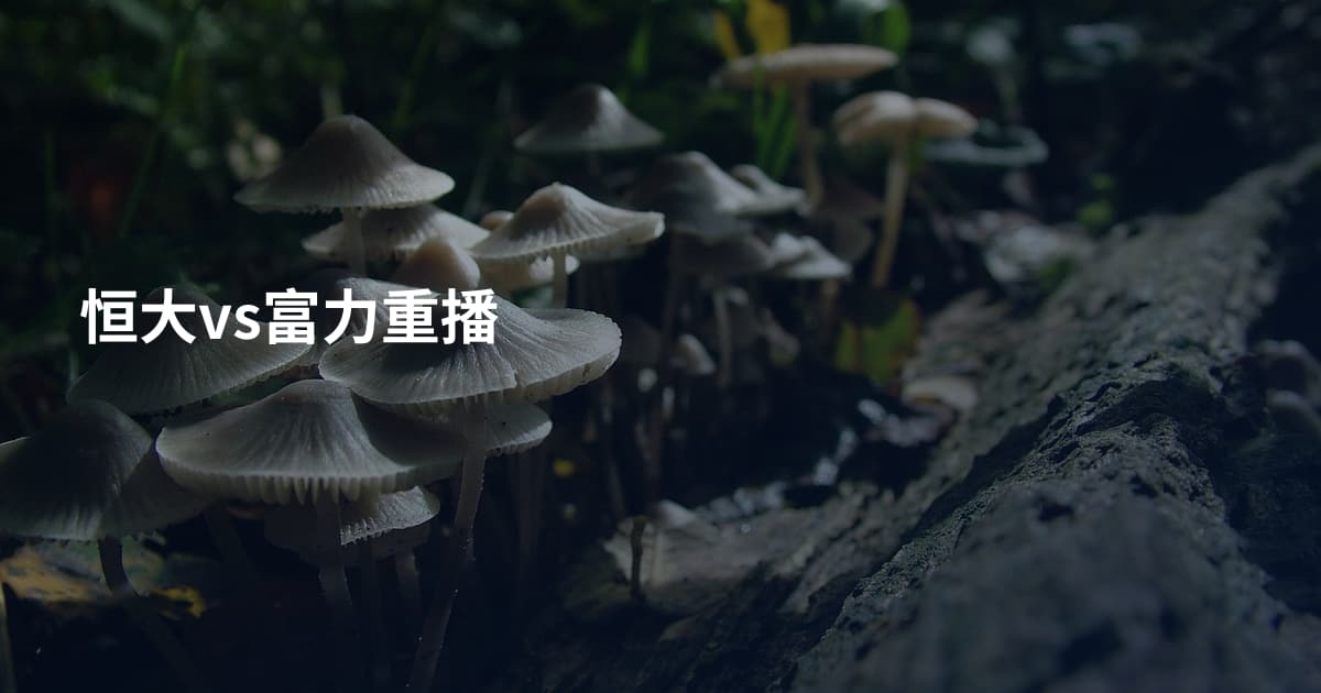 恒大vs富力重播