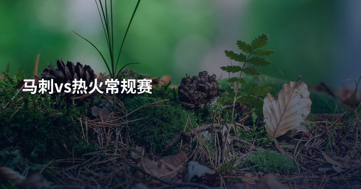 马刺vs热火常规赛