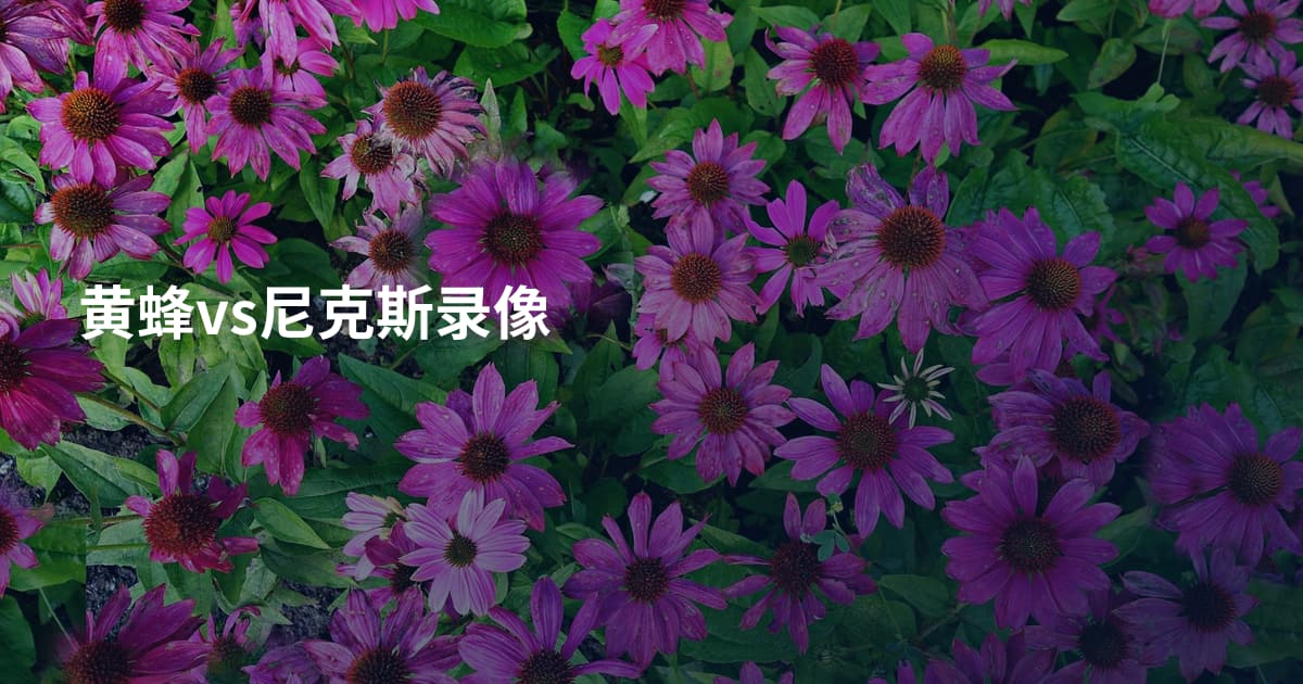 黄蜂vs尼克斯录像