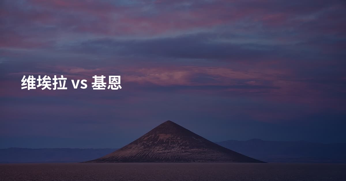 维埃拉 vs 基恩
