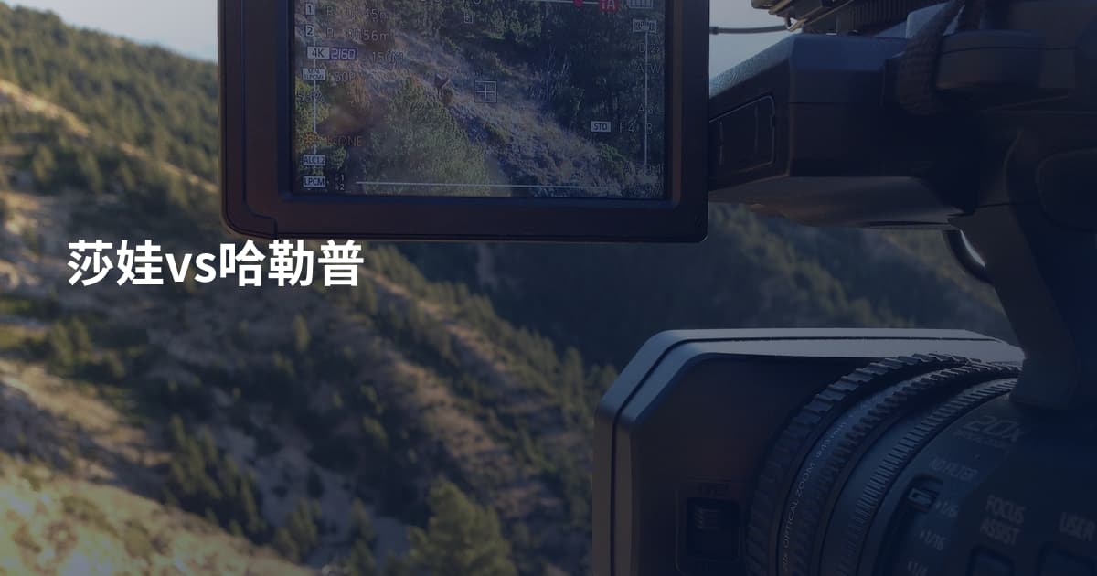 莎娃vs哈勒普