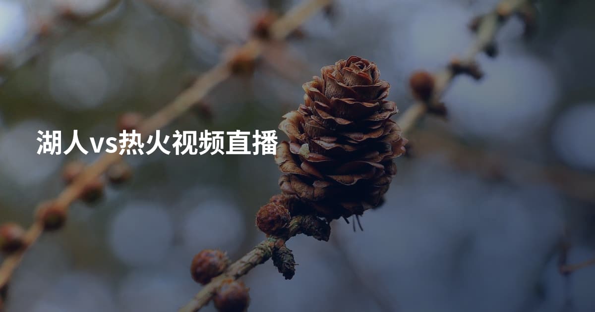 湖人vs热火视频直播