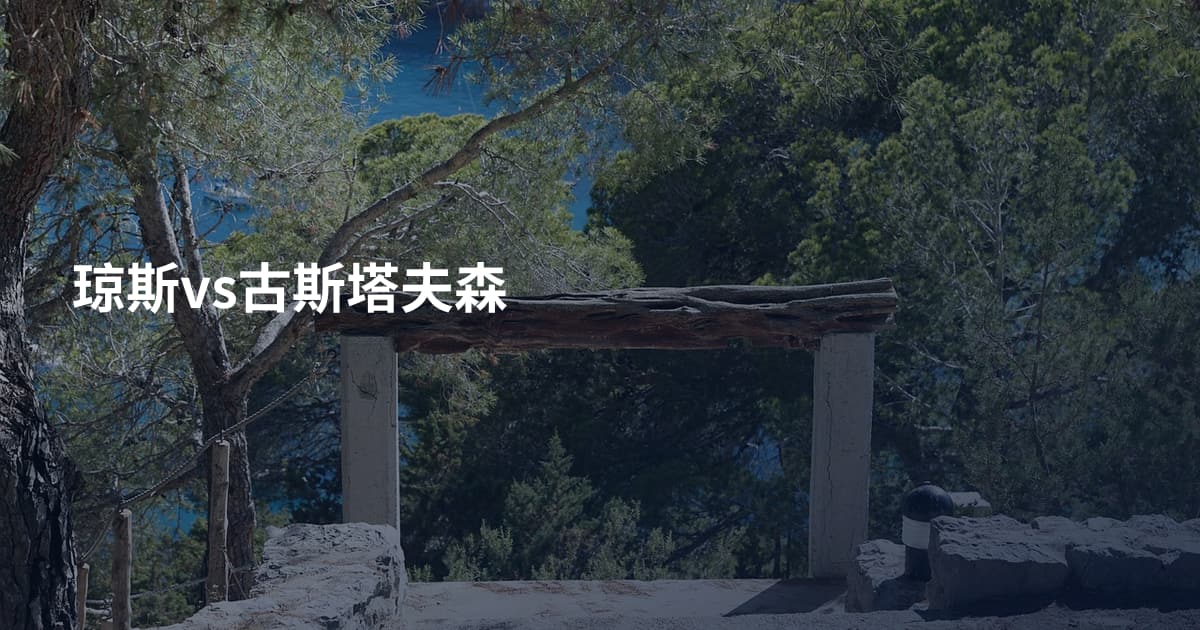 琼斯vs古斯塔夫森
