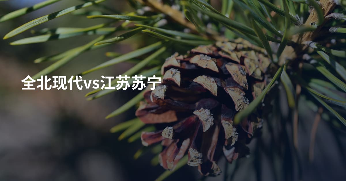 全北现代vs江苏苏宁