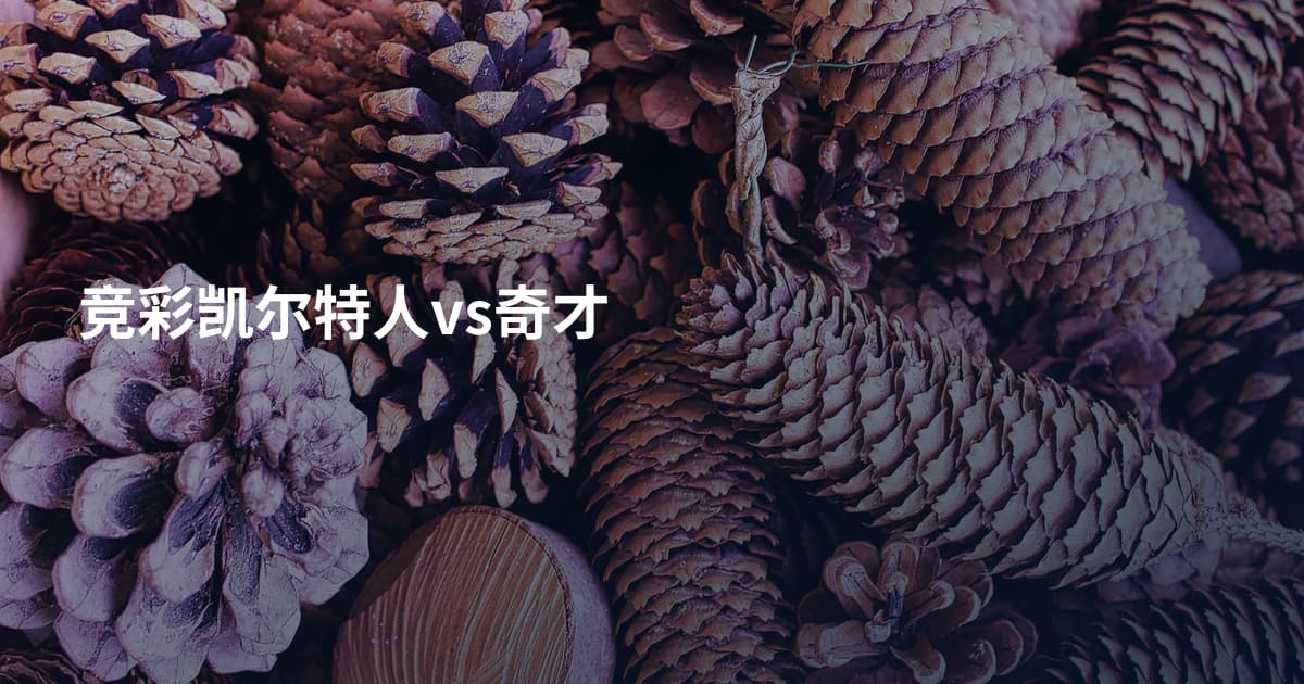 竞彩凯尔特人vs奇才
