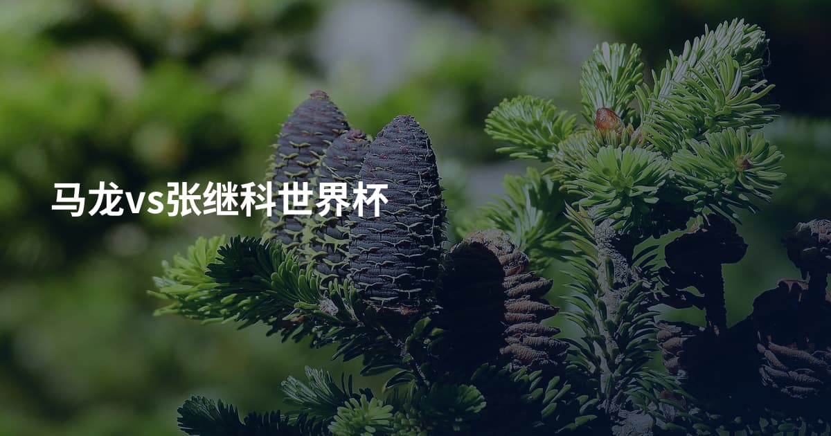 马龙vs张继科世界杯