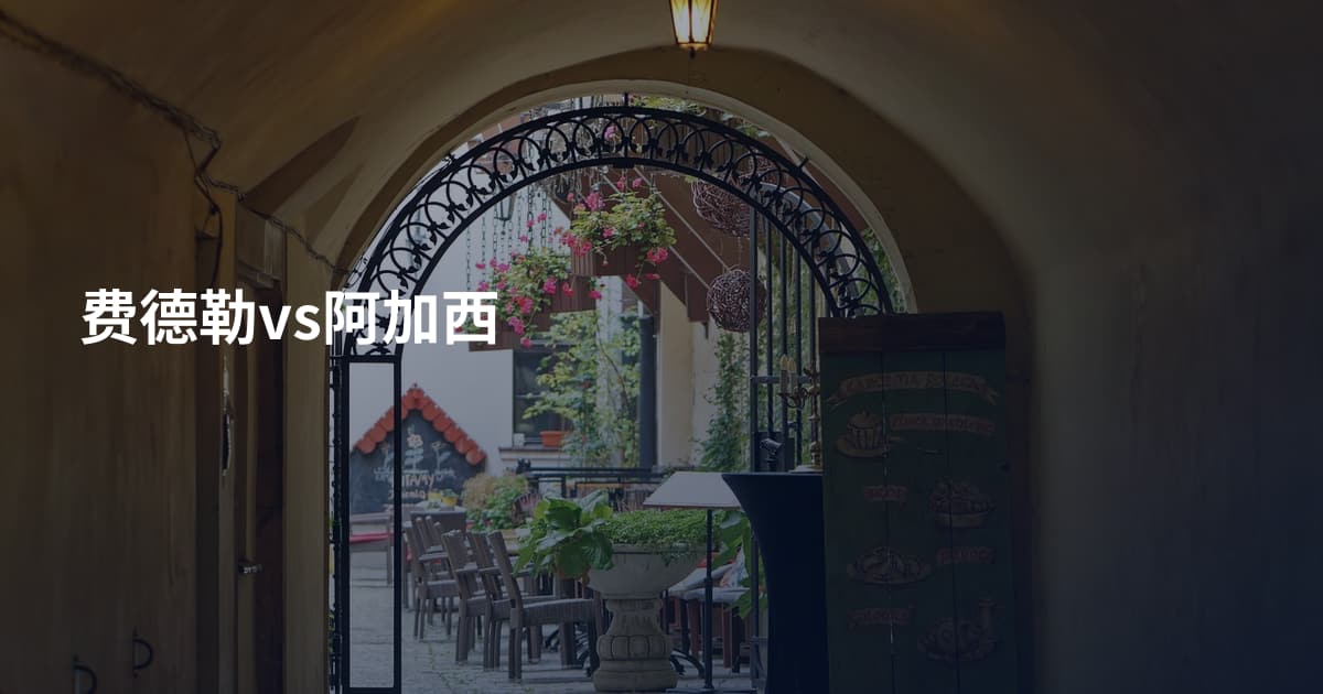 费德勒vs阿加西