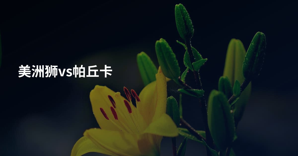 美洲狮vs帕丘卡