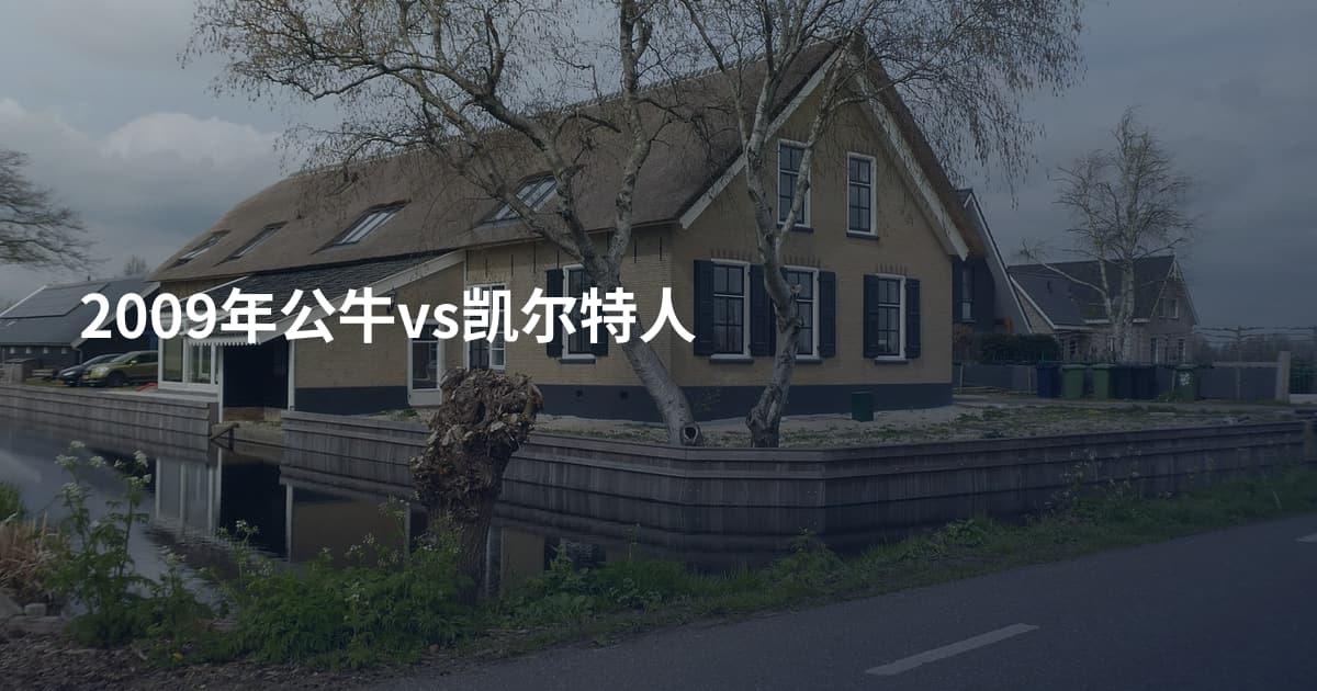 2009年公牛vs凯尔特人