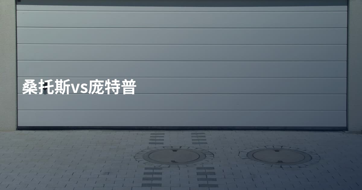桑托斯vs庞特普