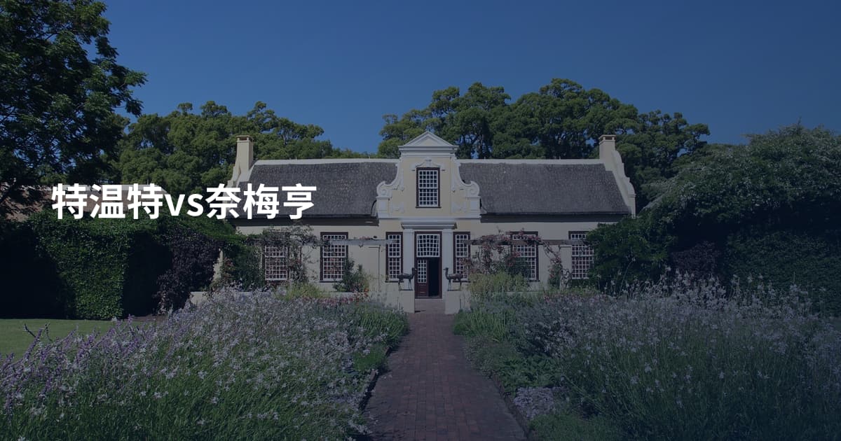 特温特vs奈梅亨