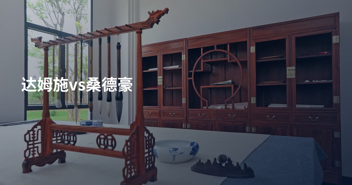 达姆施vs桑德豪