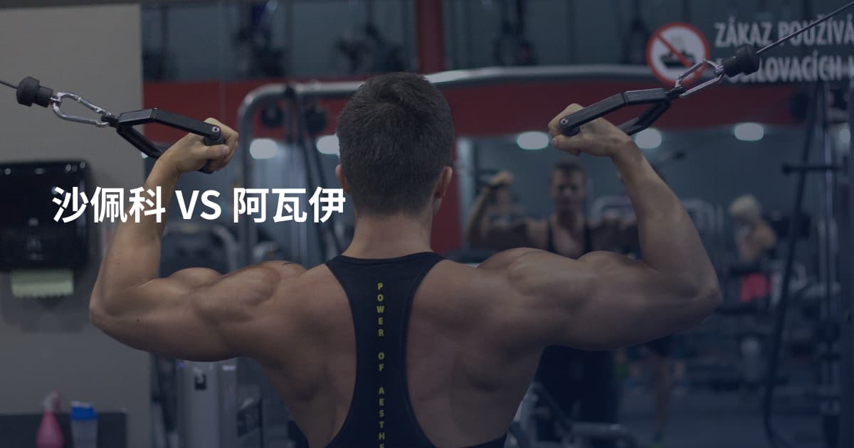 沙佩科 VS 阿瓦伊