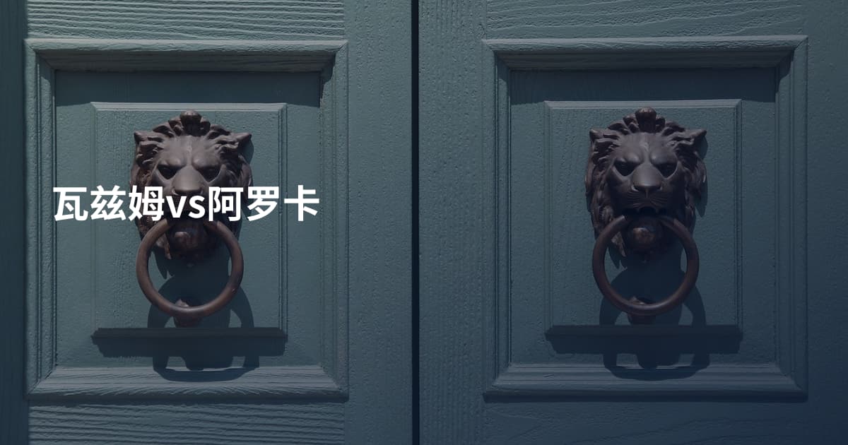 瓦兹姆vs阿罗卡