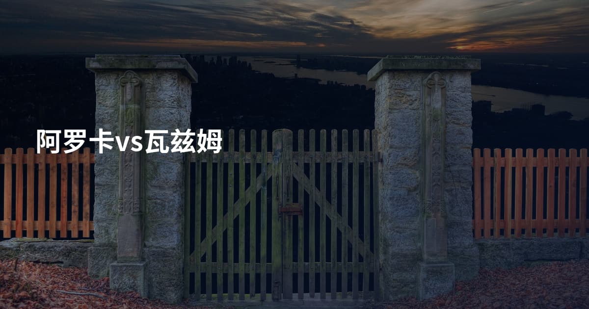 阿罗卡vs瓦兹姆