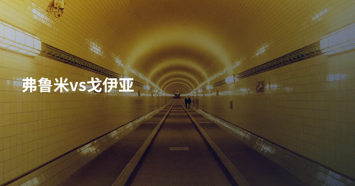 弗鲁米vs戈伊亚