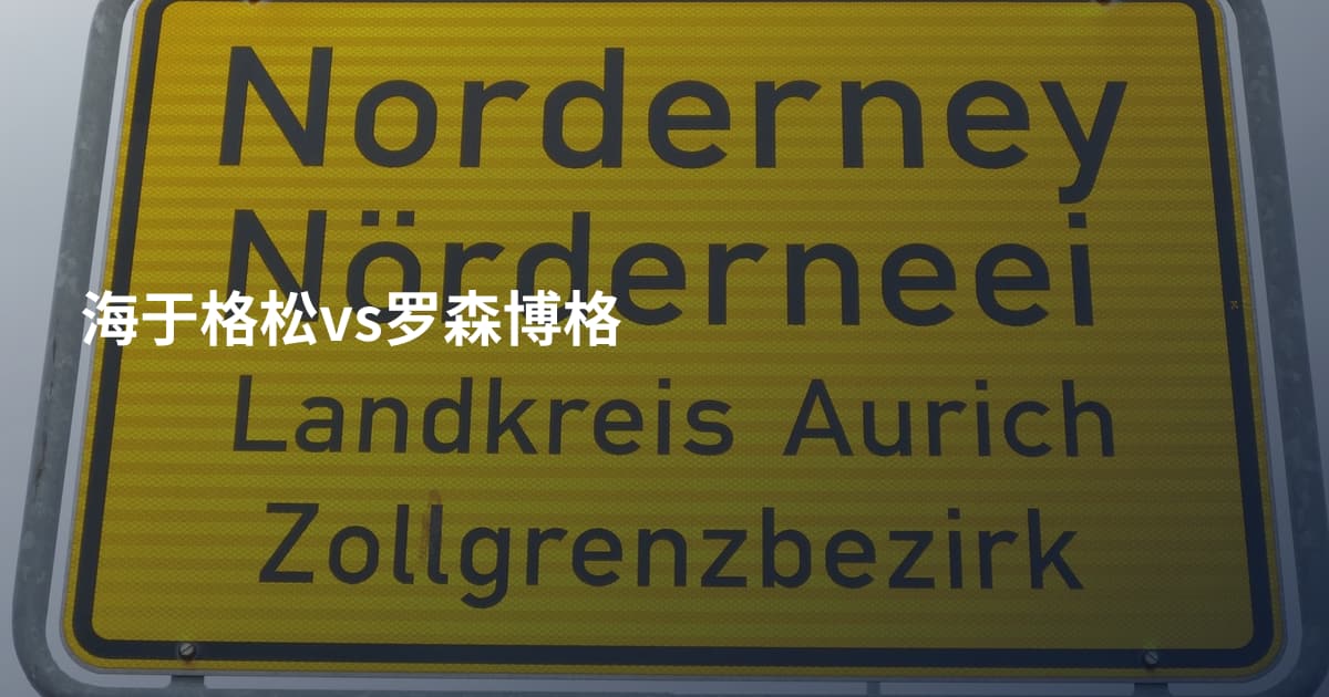 海于格松vs罗森博格