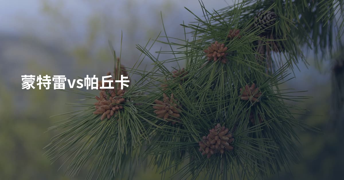 蒙特雷vs帕丘卡