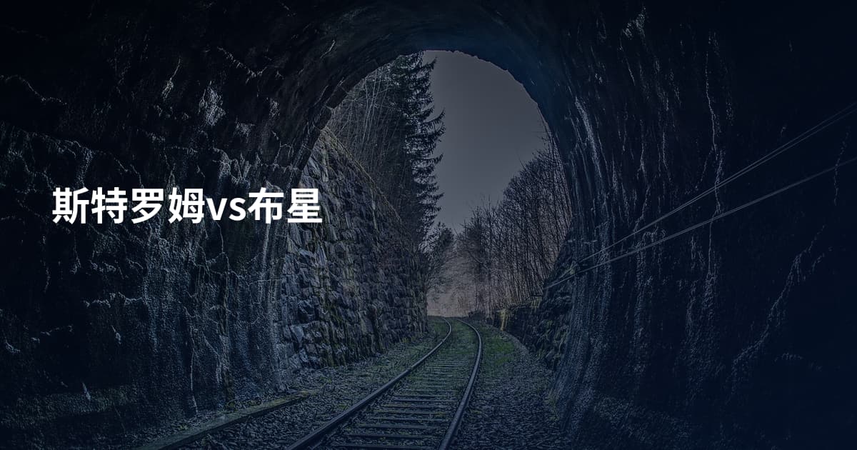 斯特罗姆vs布星