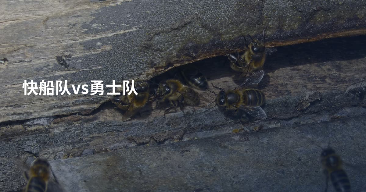 快船队vs勇士队