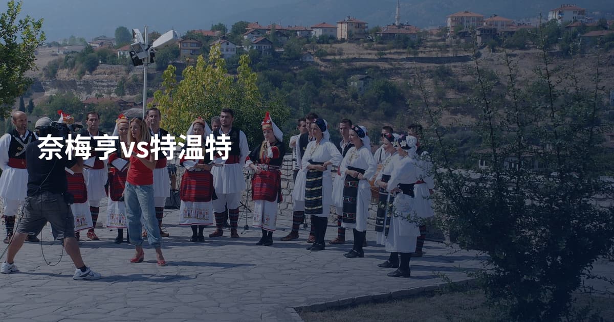 奈梅亨vs特温特