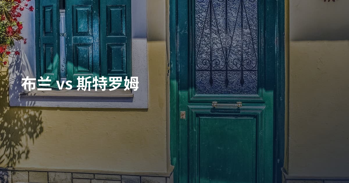 布兰 vs 斯特罗姆