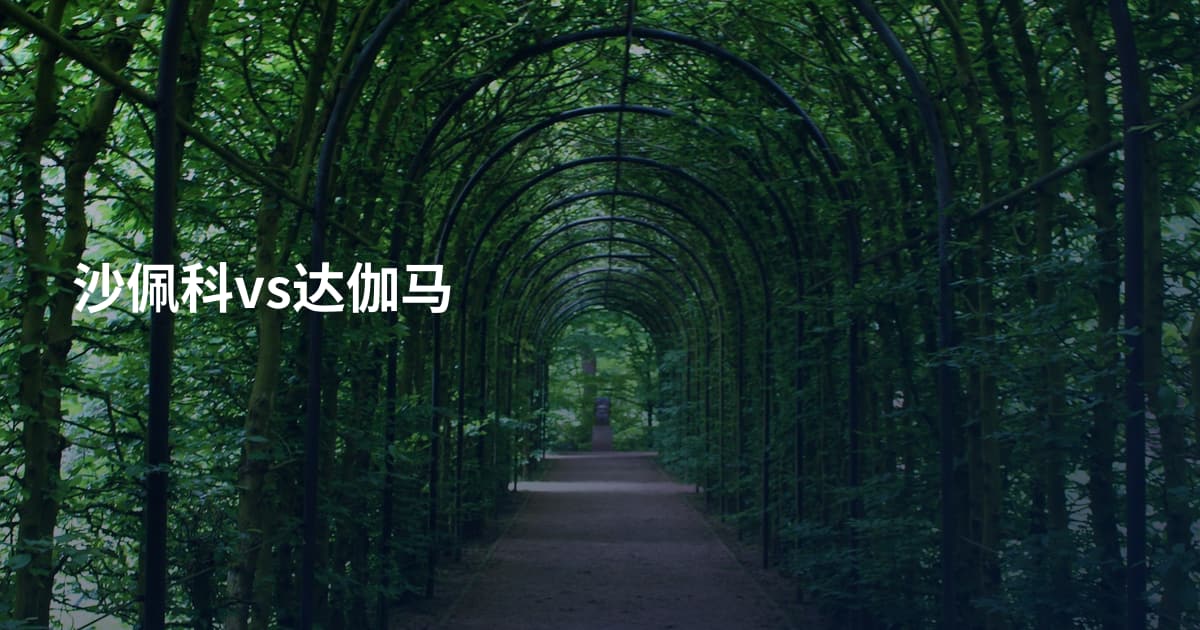 沙佩科vs达伽马