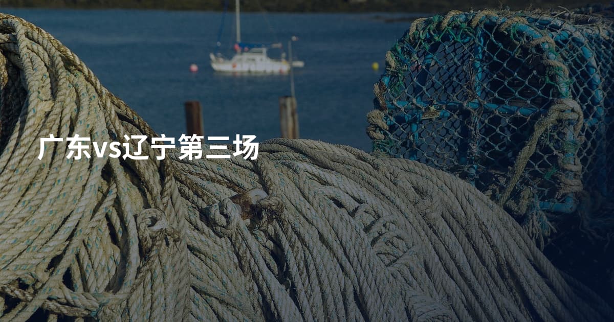 广东vs辽宁第三场