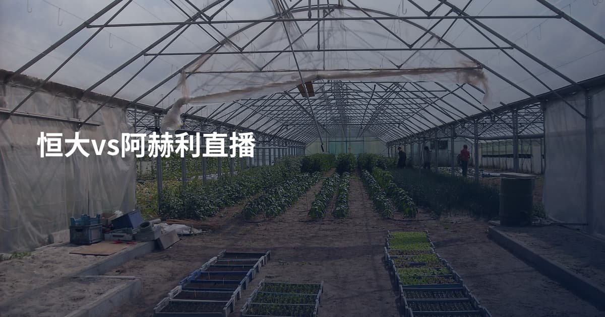 恒大vs阿赫利直播