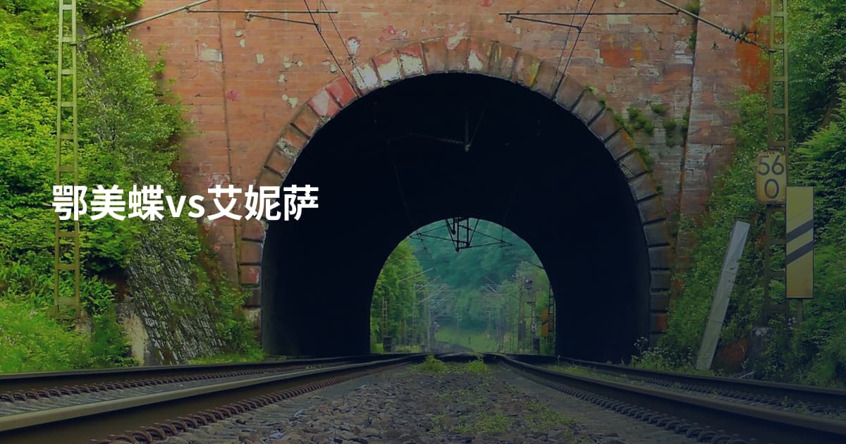 鄂美蝶vs艾妮萨