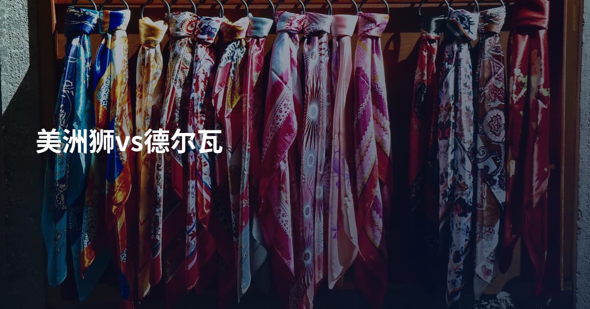 美洲狮vs德尔瓦
