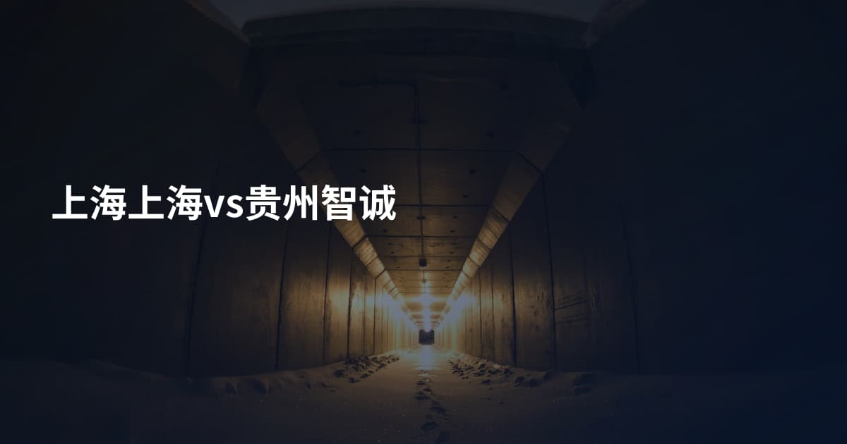上海上海vs贵州智诚