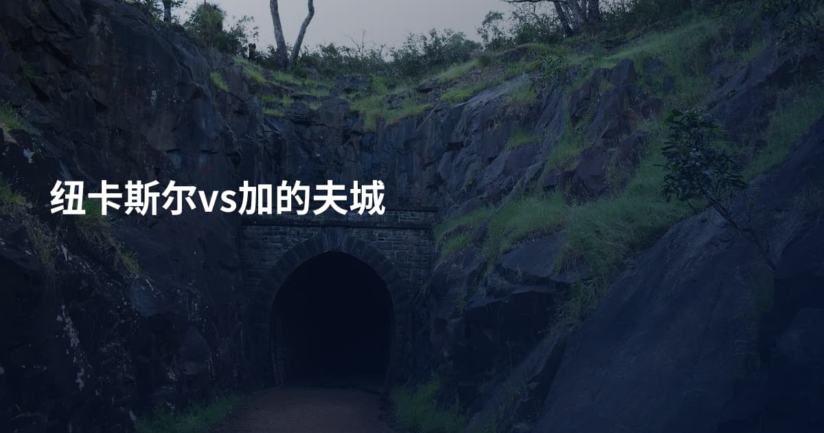纽卡斯尔vs加的夫城