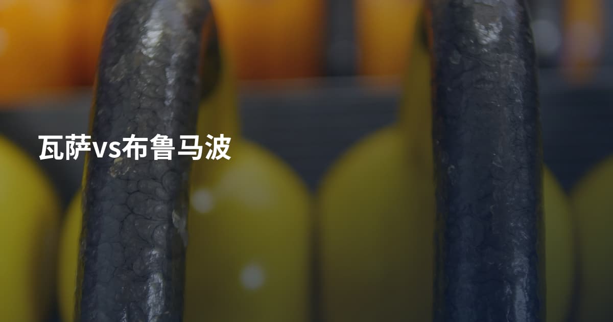 瓦萨vs布鲁马波