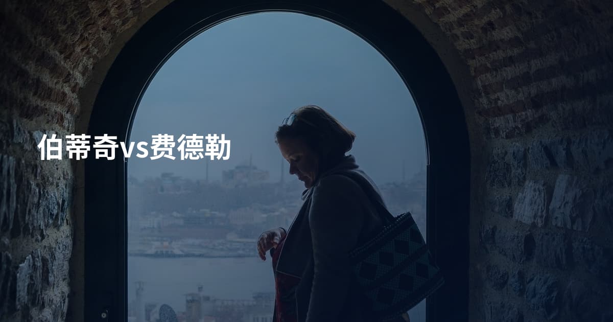 伯蒂奇vs费德勒