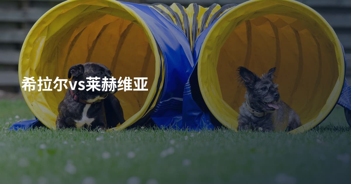 希拉尔vs莱赫维亚
