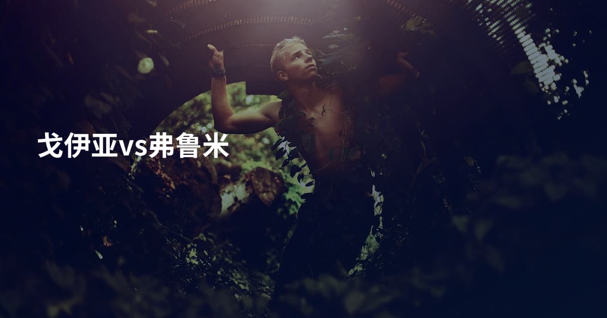 戈伊亚vs弗鲁米