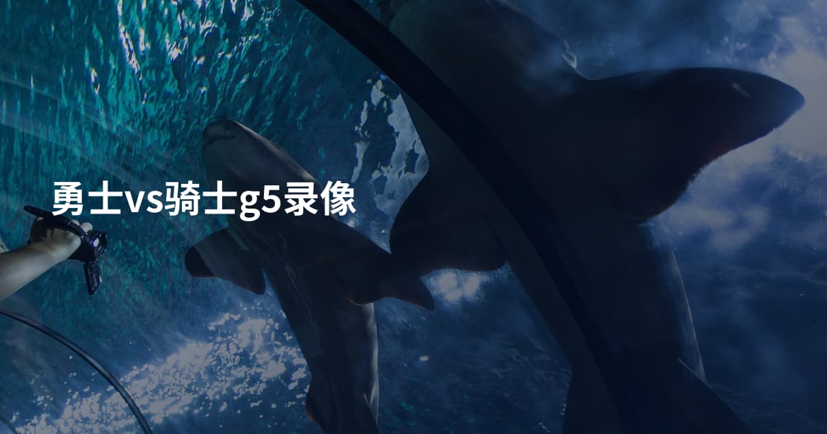 勇士vs骑士g5录像