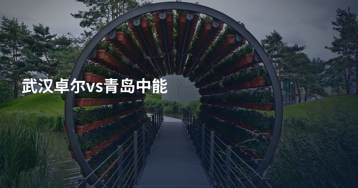 武汉卓尔vs青岛中能