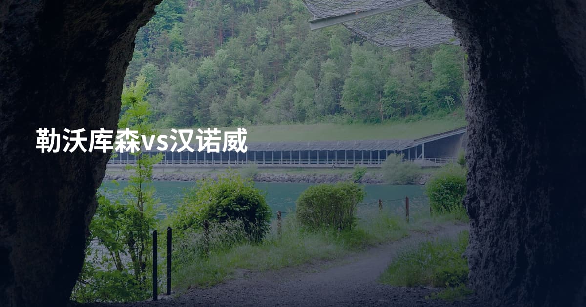 勒沃库森vs汉诺威