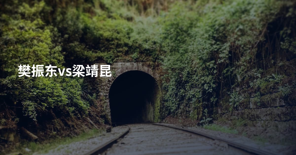 樊振东vs梁靖昆