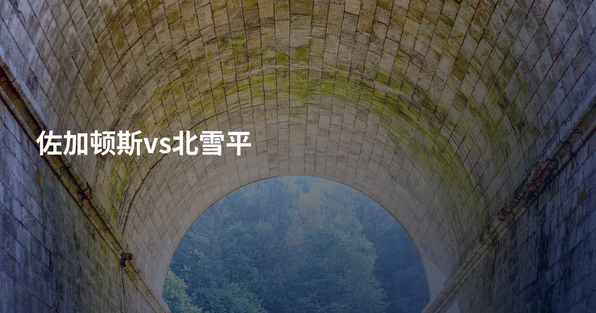 佐加顿斯vs北雪平