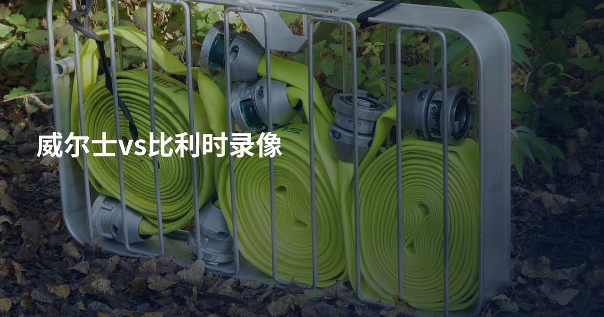 威尔士vs比利时录像