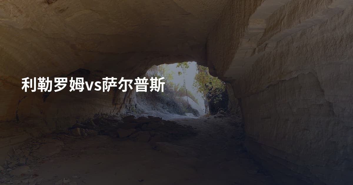 利勒罗姆vs萨尔普斯