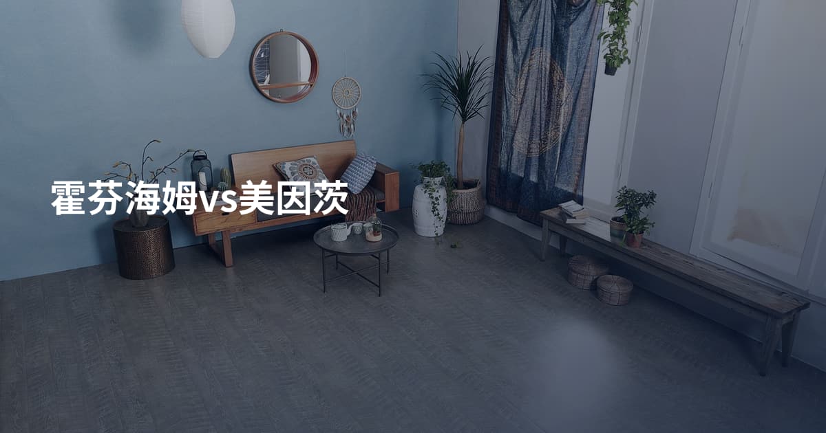 霍芬海姆vs美因茨