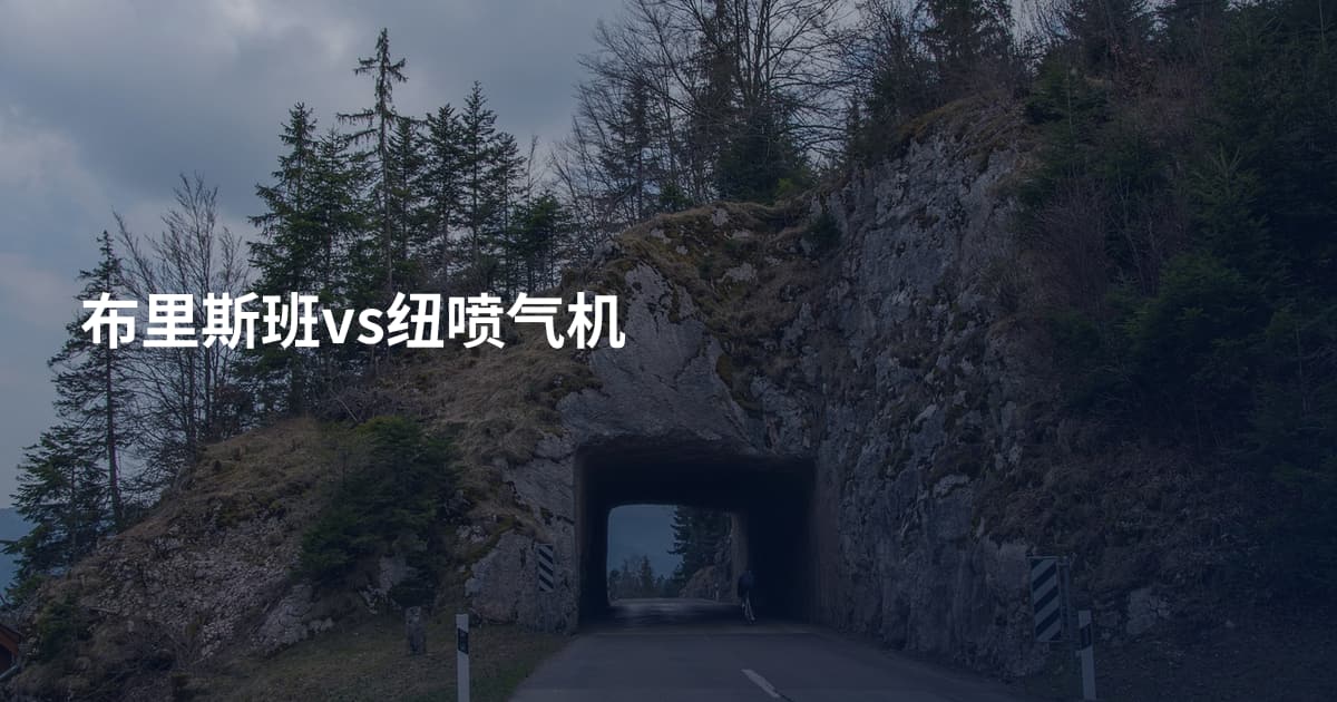 布里斯班vs纽喷气机