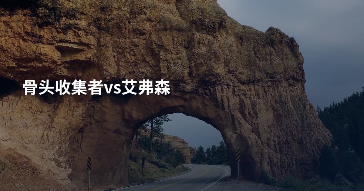 骨头收集者vs艾弗森