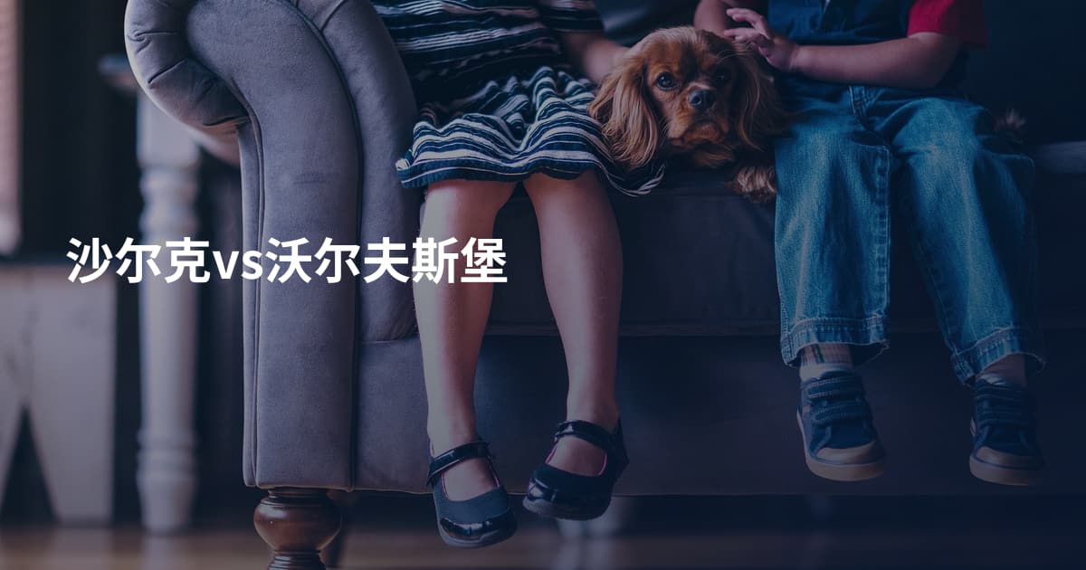 沙尔克vs沃尔夫斯堡